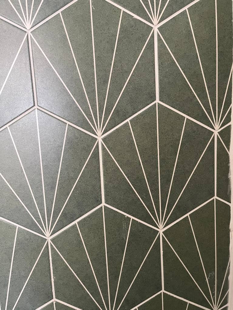 Artistic Pattern Shower Wall in the Home Addition